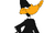 Daffy Duck (Rosemary Hills)