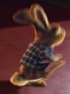 E.b. starting to fight.png (516 KB)