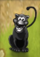 Panther (Youda Safari)