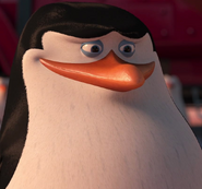 Skipper