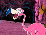 Flamingo Cry