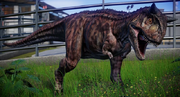 JWE Carnotaurus