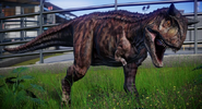 Carnotaurus sastrei