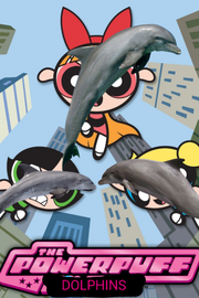 PPD1998 poster.png