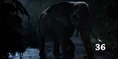 Zoo 2015 Elephant.png (1.29 MB)