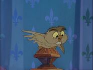 Archimedes the Owl