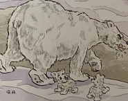 FB331255-7F3C-44EA-94CA-FA9A3612FFDD.jpeg (546 KB)