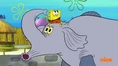 Elephant (142 KB) Spongebob squarepants
