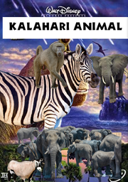 KLHRIA Poster.png