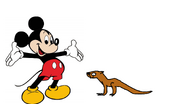 Mickey Meets Asian-Small Clawed Otter