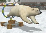 Polar-bear-wildlife-park-2.jpg (14 KB)