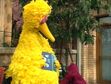 Sesame Street Quiet Time- Telly falls asleep after hearing a story
