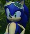 Sonic the Hedgehog in Sonic Riders Zero Gravity