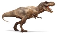 T-Rex as Legs
