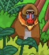 Mandrill