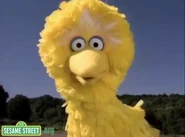 Big Bird as Bob Peterson