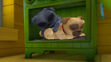 Bingo and Rolly (Puppy Dog Pals) Sleeping