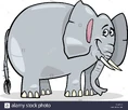 Cute-african-elephant-cartoon-illustration-FYGY1C.jpg (114 KB)