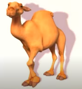 Dromedary