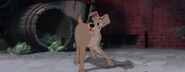 Lady-tramp-disneyscreencaps.com-4232