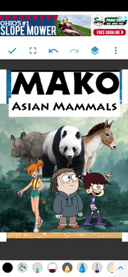 MKASNMMMLS Poster.png