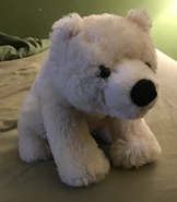 Snow the Polar Bear.jpeg (656 KB)