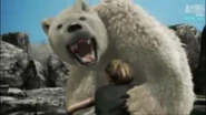 UTAUC Polar Bear 3.png (764 KB)