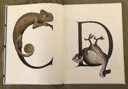 Animal Alphabet (Bert Kitchen) (2)