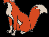 Adult Tod