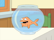 Klaus the Goldfish Happy