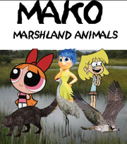 MKMRSHLNDANMLS Poster.png