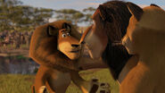 Madagascar2-disneyscreencaps.com-3213