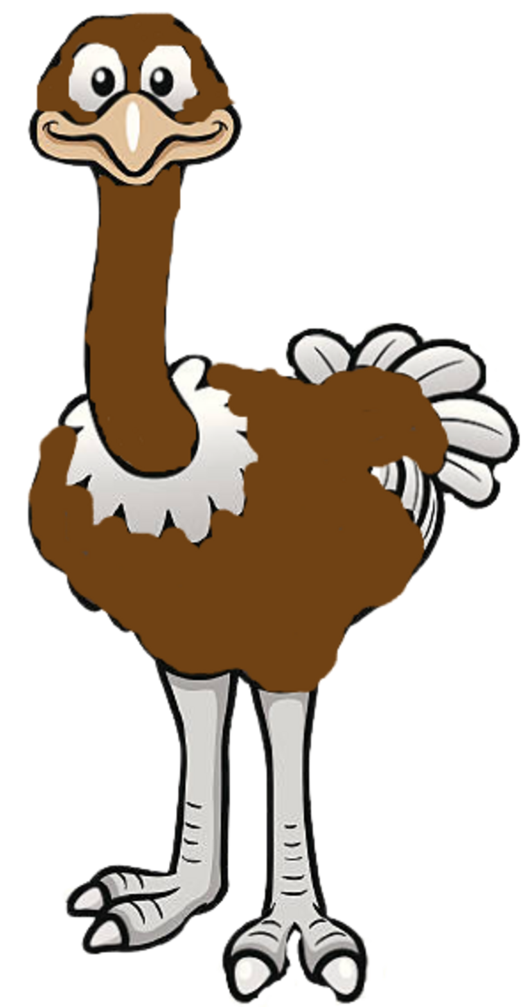 Ostrich Chop Suey - ever peckish