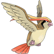 Pidgeot as Himself