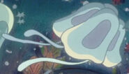 Ponyo Stalked Jellyfish