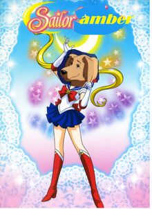 Sailor-Amber.jpg