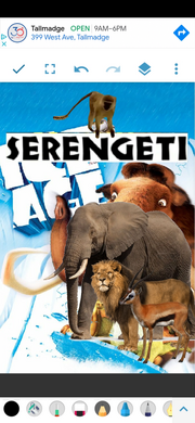 Serengeti Age (2002) Poster