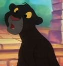 Young Bagheera-0