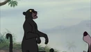 Jungle-book-disneyscreencaps.com-3505.jpg (193 KB)