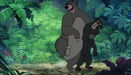 Jungle-book-disneyscreencaps.com-8981.jpg (430 KB)