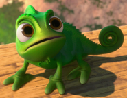 Pascal as Guillermo's iguana