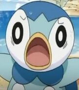 Piplup in Pokemon Mystery Dungeon Explorers of Time & Darkness