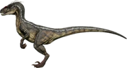 Male Raptor (JP3) as Gavin