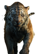 Shere Khan (TJB2016)