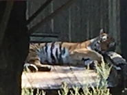 8153EB7A-BF88-4DFD-9F60-0AFABEC19C91.jpeg (98 KB)