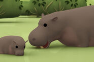LTWR Pygmy Hippo