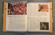 Scholastic Encyclopedia Of Animals (19)