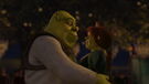 Shrek and Fiona