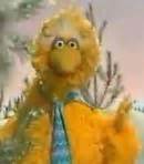 Big Bird As Jeff Porcaro