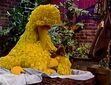 Sesame Street Visits the Hospital- Big Bird sleeps in the beginning snoring and coughing